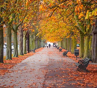 Thames Barrier Park