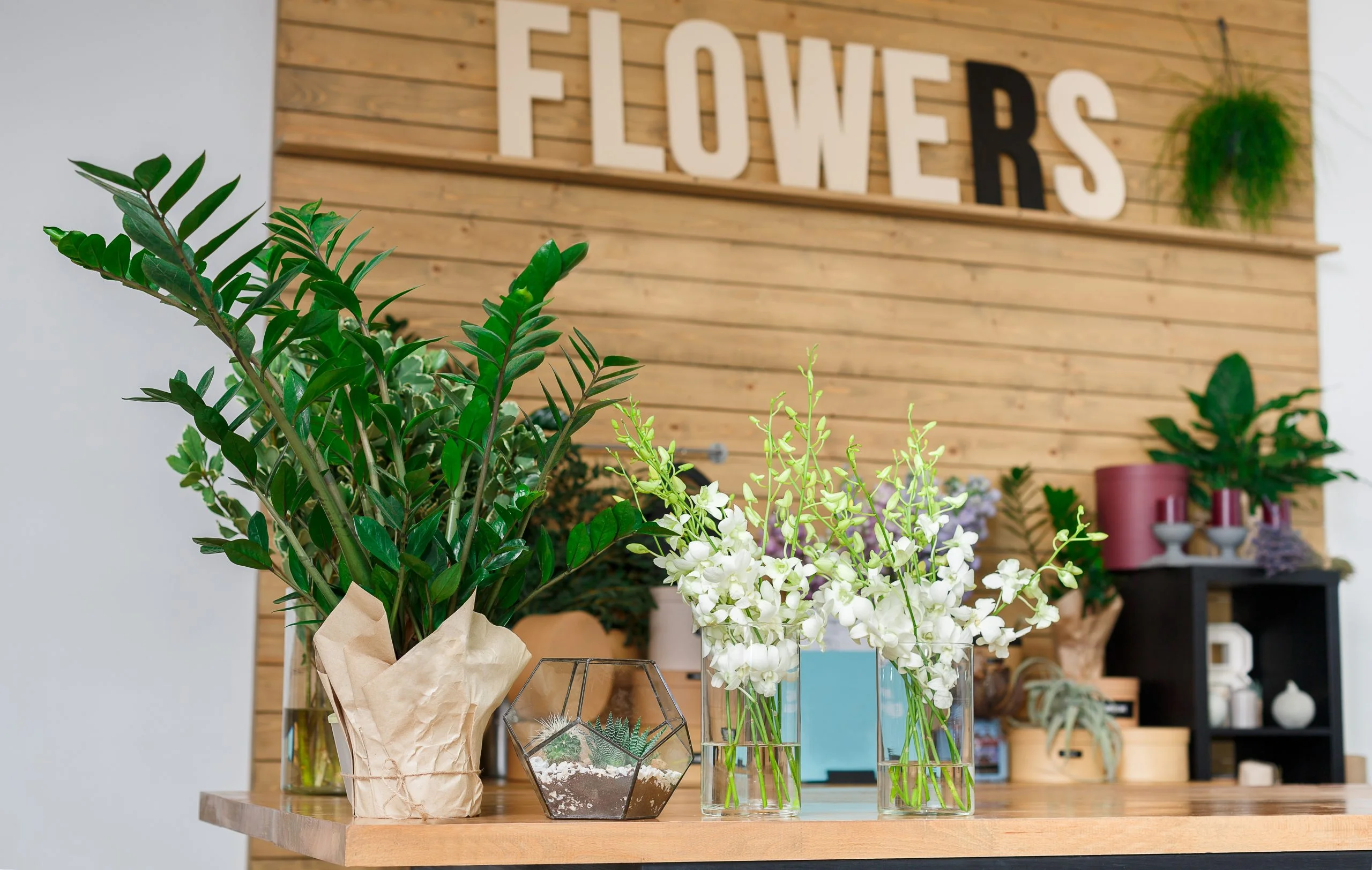 Flower shop interior design with branding wall, counter and floral display setup
