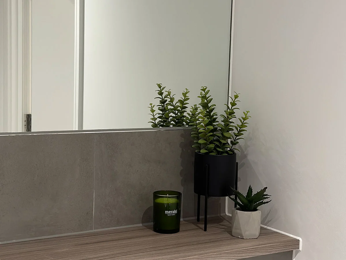 Indoor plant in decorative pot enhancing modern home interior decor