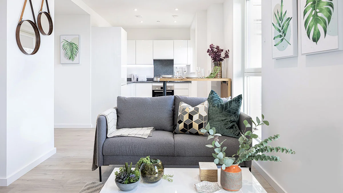 fully furnished investment property using modern furniture pack for landlords and investors